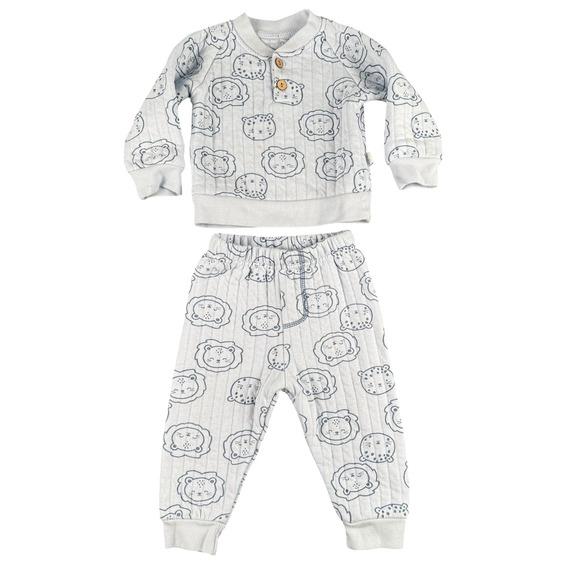 Duck Duck Goose Other - Duck Duck Goose Baby 6-9M Quilted Lion Print Henley Top & Joggers Set Blue 195